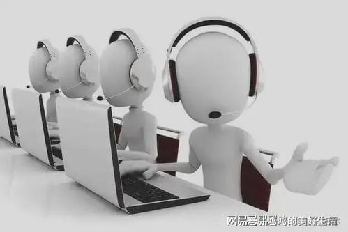 蕓豆花官網(wǎng)客服服務(wù)體系升級(jí)，提供全方位用戶信息咨詢服務(wù)